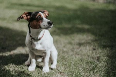 compressed-gemma-regalado-3O801cdcLPc-unsplash.jpeg
