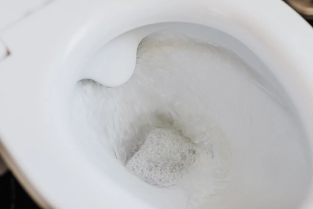 image1.png