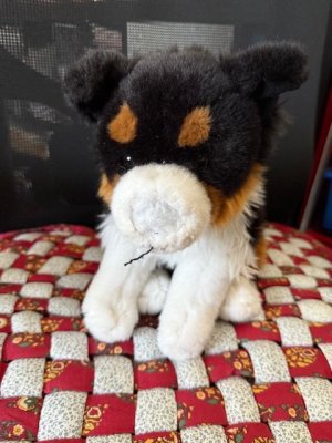 Small dog repair 1.jpg