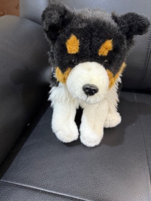 Small dog repair 5.jpg