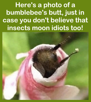 1753363798244.png