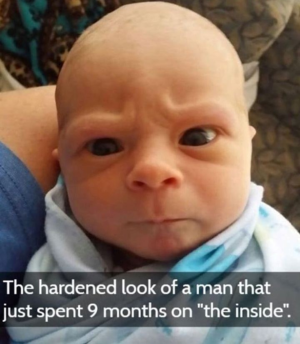 1753364675059.png