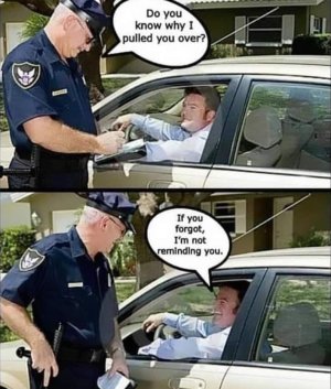 Why I  pulled you over.jpg