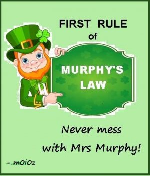 Murphy's Law.jpg