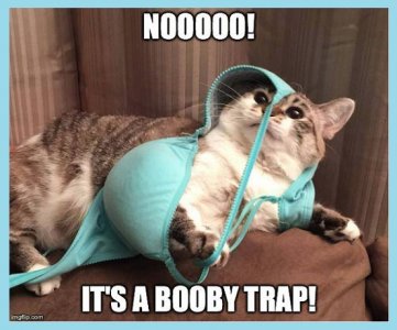 booby trap.jpg