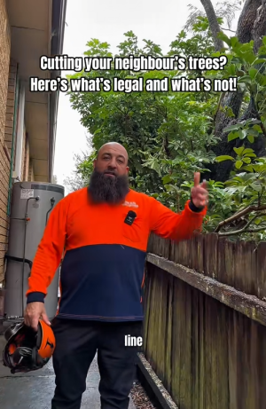 1753938916170.png