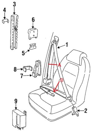 SEATBELT.jpg