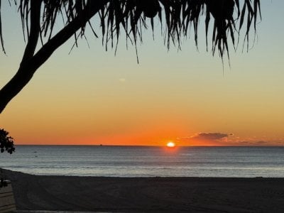 IMG_9517.jpg