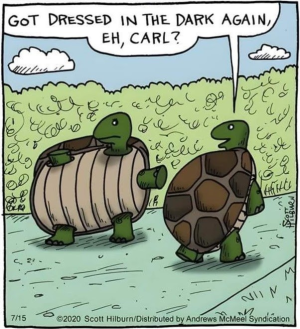 1754291907959.png