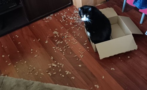 box 1.jpg