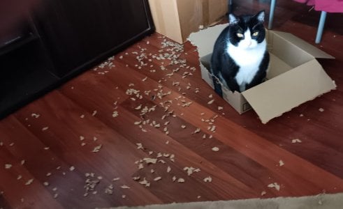 box 2.jpg