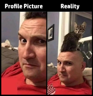 1754460480181.png