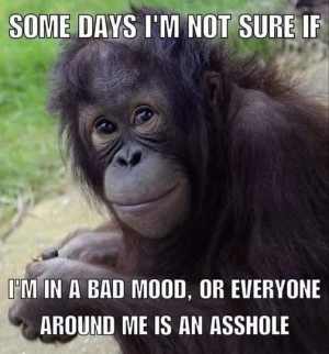 1754528524830.png