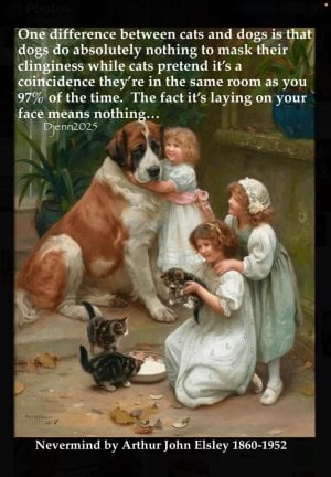 cats&dogs.jpg
