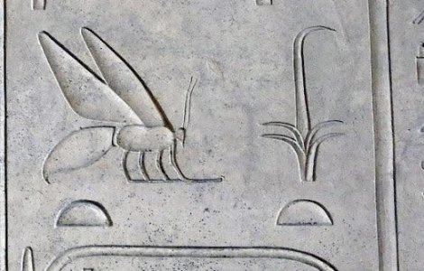 HIEROGLYPHS4 13.jpg