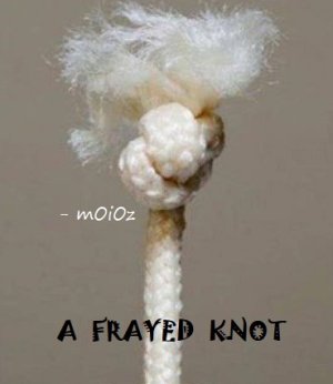 Afraid not'.jpg