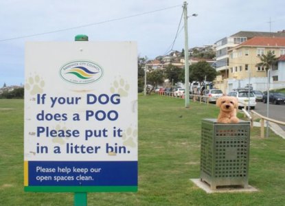 Dog In A Bin.jpg