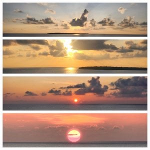 Sunsets.jpg