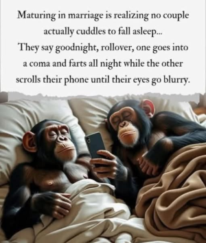 1755140226055.png