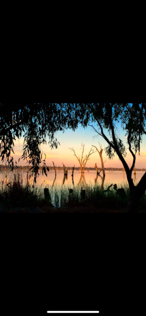 IMG_4252.png