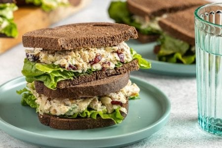 Cranberry-Chicken-salad_TOHD24_39310_KristinaVanni_3.jpg Cranberry-Chicken-salad_TOHD24_39310_KristinaVanni_3.jpg