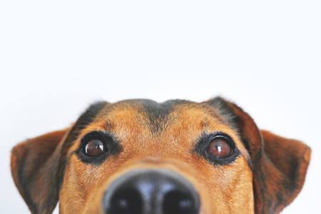 image1.png