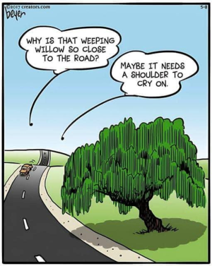 1755489231680.png