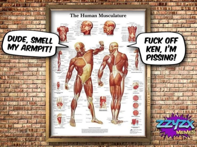 1755491738032.png