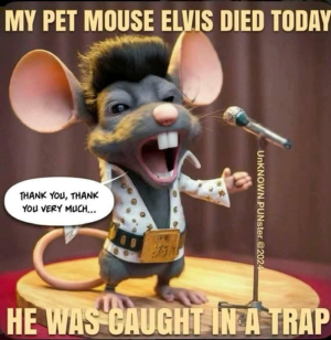 1755664344203.png