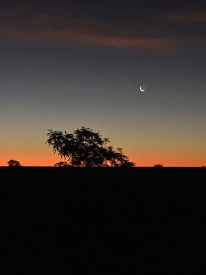 IMG_3449.jpg