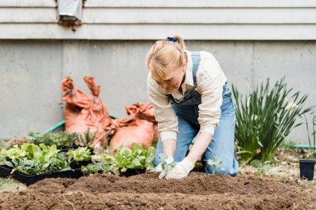Woman gardening.jpg