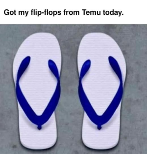 1756212460903.png
