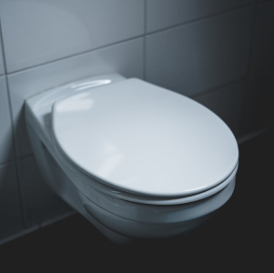 image1.png