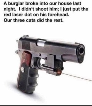 IMG_0783.jpeg