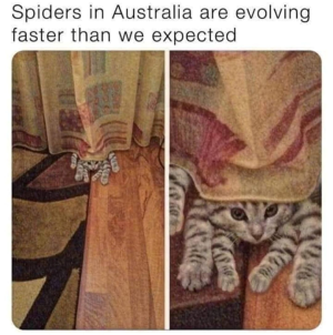 1756612390500.png