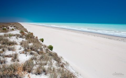 Geoguesser 04.09.2025.jpg