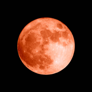 1757041498088.png