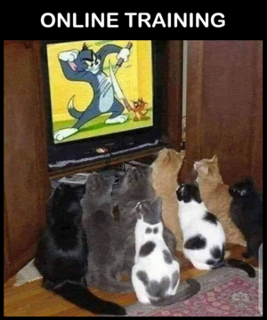 1757051454713.png