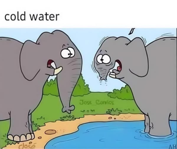 1757160935542.png
