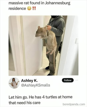 1757245694960.png