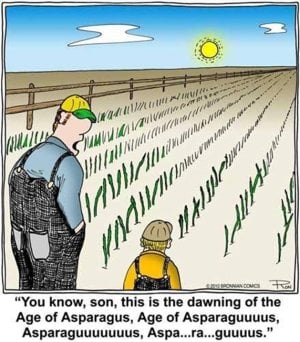 Dawning Age of Asparagus.jpg