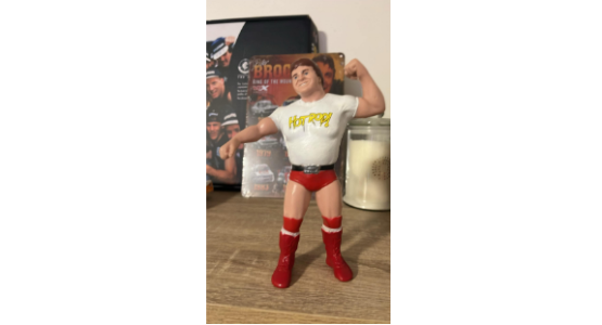 WWE.PNG