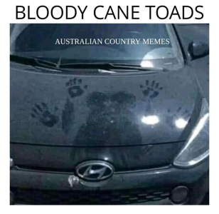 1757676240131.png