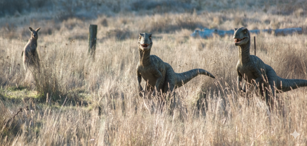 roo with raptors..png