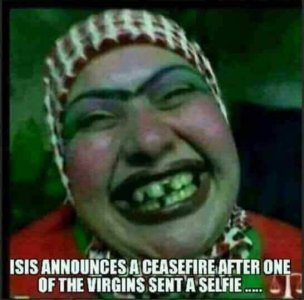 muslim virgin.jpg