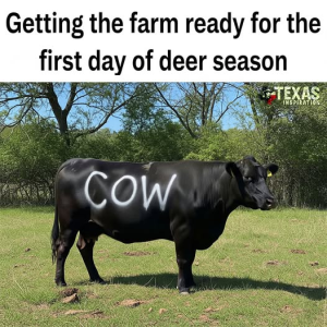 1758167027123.png