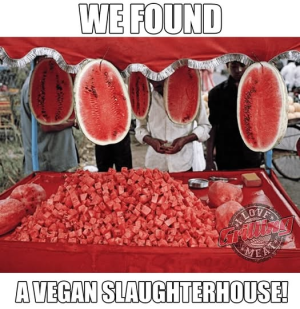 1758335580077.png