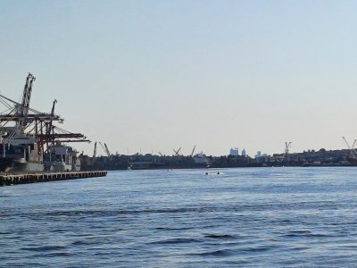 20250921_075616.jpg