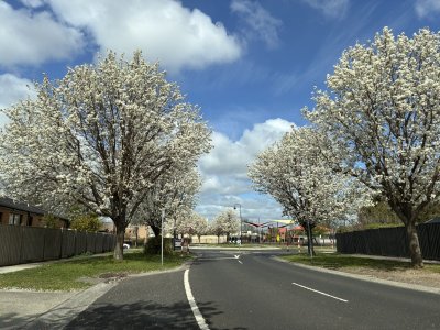 Spring has Sprung Sept 2025.jpg