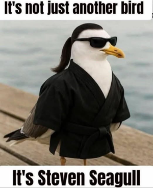 1758781464177.png